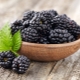 Everything you need to know about blackberries