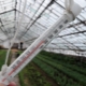 All about the temperature in the cucumber greenhouse