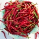什么是辣椒以及如何种植它？