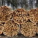 Wie bereitet man Brennholz vor?