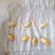 Comment faire tremper les graines de courgettes ?