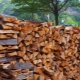 What types of firewood are there and which ones are better to choose?