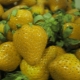 Odrůdy bílých a žlutých jahod