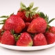 Variétés de fraises ultra précoces