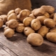 Vše o bramborách