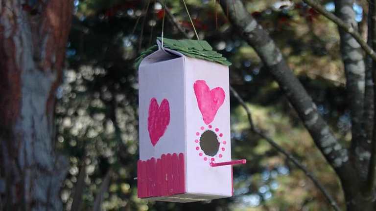 pakke damper Eksempel Fuglehus ud af kassen (13 billeder): hvordan laver man et fuglehus med egne  hænder fra en papkasse med juice eller mælk?