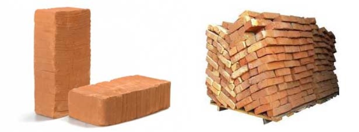 Backbone brick