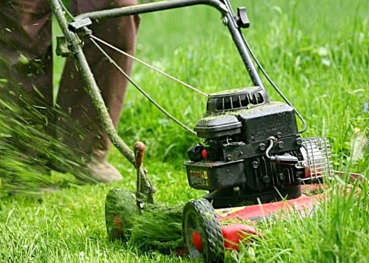 Veil Expression Peck כיסוח הדשא: מכסחות חשמליות ידניות וקוצצים אלחוטיים, גוזמים ומכשירים נוספים.  איך לקצץ אותו באביב? גובה אופטימלי