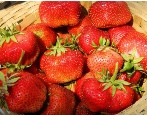 Erdbeer-Gigantella