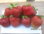 Erdbeer-Lambada