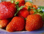 Erdbeere Lyubava