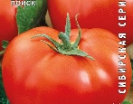 Rote Altai-Tomate