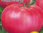 Tomato Biysk rosean
