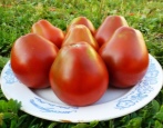 Tomate Grushovka