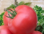 Tomatenpuppe Masha