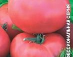 Tomatenpuppe