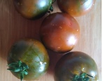 Tomaten-Kumato
