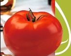 Tomaten-Volverin