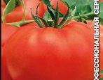 Tomatenfett