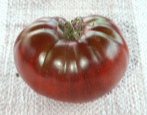 Tomate Schwarze Krim