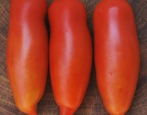Khokhloma-Tomate