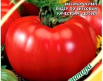 Tomaten-Kirzhach
