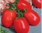 Tomaten-Ei-Kapsel