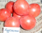 Tomaten Kurnosik