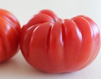 Tomate Lothringen Schönheit
