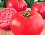Tomaten-Himbeer-Riese