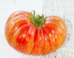 Tomate Jahrgangswein