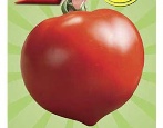 Tomaten Mashenka