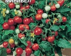 Tomaten Minibel