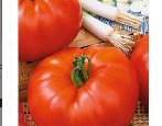 Tomate Karotte