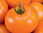 Rajče Pomeranč
