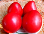 Tomaten-Pudovik