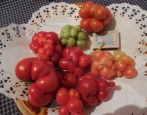 Tomaten-Racetomit