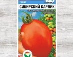 Sibiřské trpasličí rajče