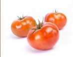 Tomaten Taimyr