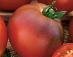 Tomaten Chernomor
