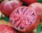 Cherokee Lila Tomate