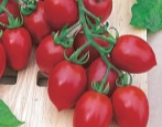 Cherry-Ira-Tomate