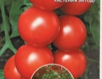 Tomaten Wunderbaum
