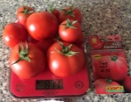 Tomatenmarkt Wunder