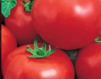 Tomaten-Delikatesse