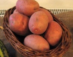 Bellarosa-Kartoffeln