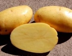 Gelee-Kartoffeln