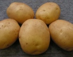 Kartoffelführer
