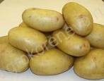 Kartoffelriese