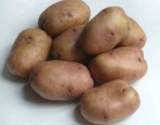Kartoffeln Schukowski früh